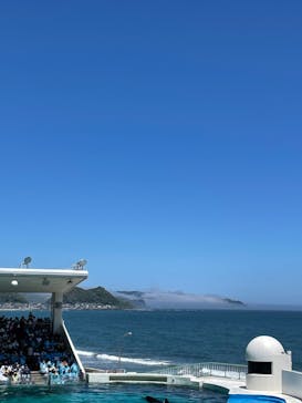 鴨川シーワールドに投稿された画像（2022/6/26）