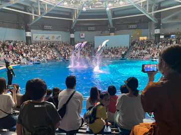 マクセル アクアパーク品川に投稿された画像（2022/6/26）