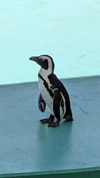 横浜・八景島シーパラダイスに投稿された画像（2022/6/26）