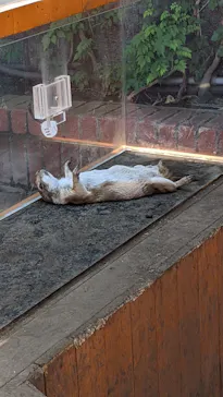 横浜・八景島シーパラダイスに投稿された画像（2022/6/26）