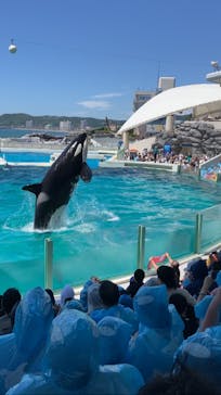 鴨川シーワールドに投稿された画像（2022/6/26）