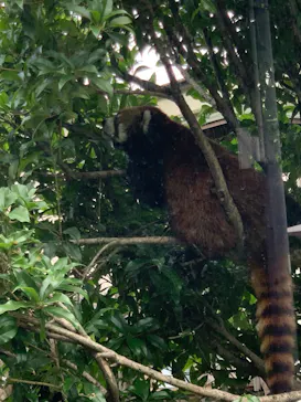 天王寺動物園に投稿された画像（2022/6/26）