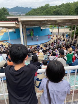 日本モンキーパークに投稿された画像（2022/6/26）