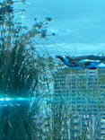 サンシャイン水族館に投稿された画像（2022/6/26）