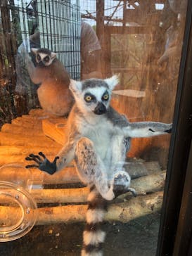 伊豆シャボテン動物公園に投稿された画像（2022/6/26）