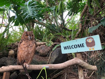 伊豆シャボテン動物公園に投稿された画像（2022/6/26）