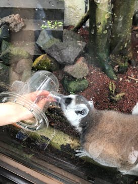 伊豆シャボテン動物公園に投稿された画像（2022/6/26）