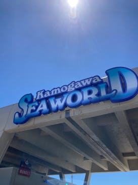 鴨川シーワールドに投稿された画像（2022/6/26）