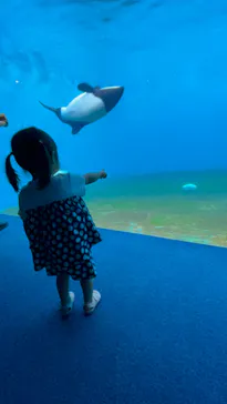仙台うみの杜水族館に投稿された画像（2022/6/26）