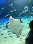 サンシャイン水族館に投稿された画像（2022/6/26）