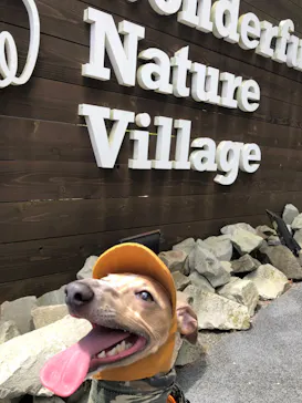 わんダフルネイチャーヴィレッジに投稿された画像（2022/6/26）