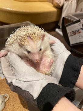 HARRY　横浜中華街店に投稿された画像（2022/6/26）