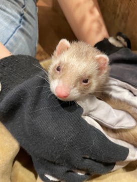 HARRY　横浜中華街店に投稿された画像（2022/6/26）