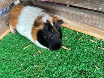 牧歌の里に投稿された画像（2022/6/26）