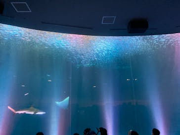 名古屋港水族館に投稿された画像（2022/6/26）