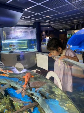 サケのふるさと 千歳水族館に投稿された画像（2022/6/26）