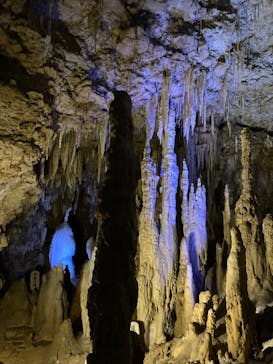 おきなわワールドに投稿された画像（2022/6/26）