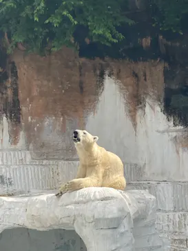 天王寺動物園に投稿された画像（2022/6/26）