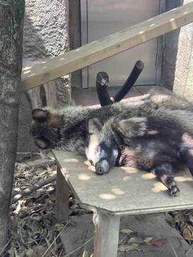 天王寺動物園に投稿された画像（2022/6/26）