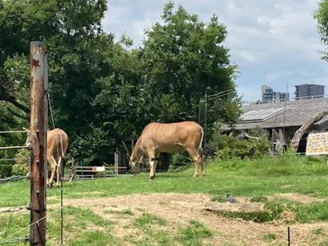 天王寺動物園に投稿された画像（2022/6/26）