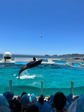 鴨川シーワールドに投稿された画像（2022/6/26）