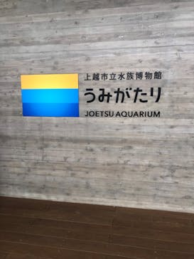 上越市立水族博物館 うみがたりに投稿された画像（2022/6/26）