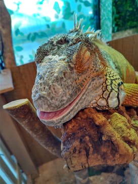 Moff animal world BIGHOPガーデンモール印西店に投稿された画像（2022/6/26）