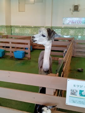 Moff animal world BIGHOPガーデンモール印西店に投稿された画像（2022/6/26）