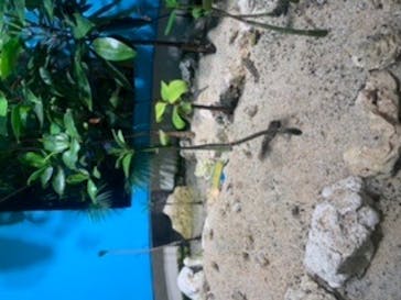 サンシャイン水族館に投稿された画像（2022/6/26）