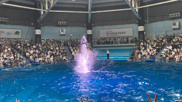 マクセル アクアパーク品川に投稿された画像（2022/6/26）