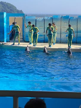 新江ノ島水族館に投稿された画像（2022/6/26）