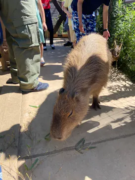 横浜・八景島シーパラダイスに投稿された画像（2022/6/26）