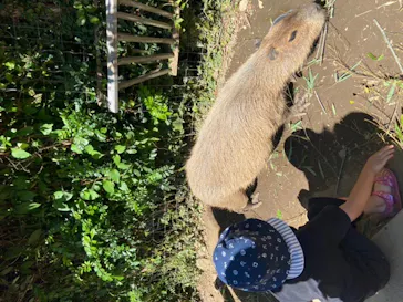 横浜・八景島シーパラダイスに投稿された画像（2022/6/26）