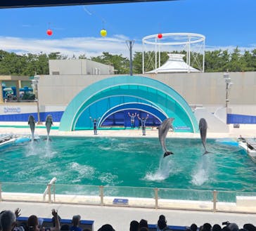 鴨川シーワールドに投稿された画像（2022/6/26）