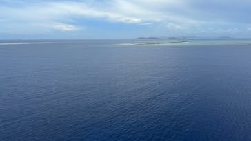 Sea World（シーワールド）に投稿された画像（2022/6/26）