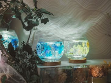 ずこうしつ〜sugamo〜に投稿された画像（2022/6/26）