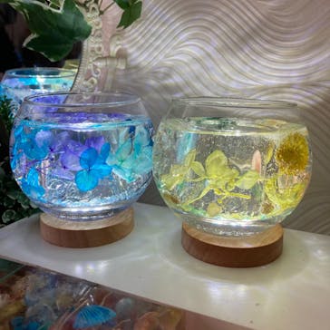 ずこうしつ〜sugamo〜に投稿された画像（2022/6/26）