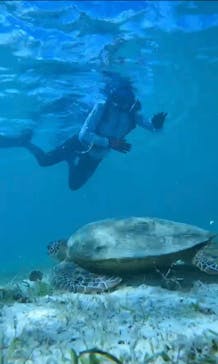 宮古島 ADVENTURE PiPi（ミヤコジマ アドベンチャー ピピ）に投稿された画像（2022/6/26）