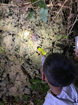 宮古島 ADVENTURE PiPi（ミヤコジマ アドベンチャー ピピ）に投稿された画像（2022/6/26）