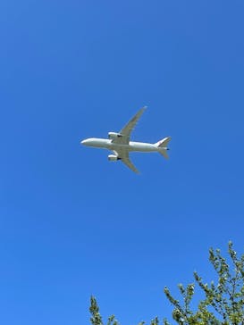 航空科学博物館に投稿された画像（2022/6/26）