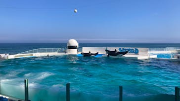 鴨川シーワールドに投稿された画像（2022/6/26）