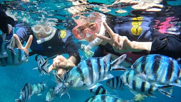 武藤潜水に投稿された画像（2022/6/26）