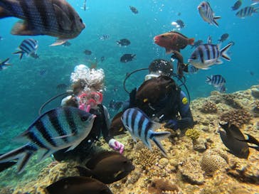 武藤潜水に投稿された画像（2022/6/26）