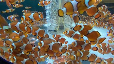 鴨川シーワールドに投稿された画像（2022/6/26）