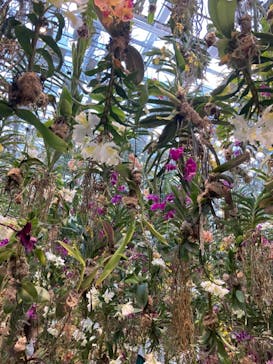 チームラボプラネッツ TOKYO DMMに投稿された画像（2022/6/27）