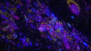 チームラボプラネッツ TOKYO DMMに投稿された画像（2022/6/27）