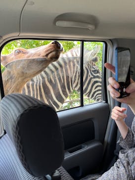 那須サファリパークに投稿された画像（2022/6/27）