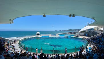 鴨川シーワールドに投稿された画像（2022/6/27）