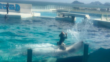 鴨川シーワールドに投稿された画像（2022/6/27）