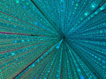 チームラボプラネッツ TOKYO DMMに投稿された画像（2022/6/27）